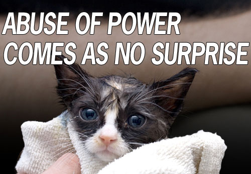 ABUSE OF LOLCATS COMES AS NO SURPRISE